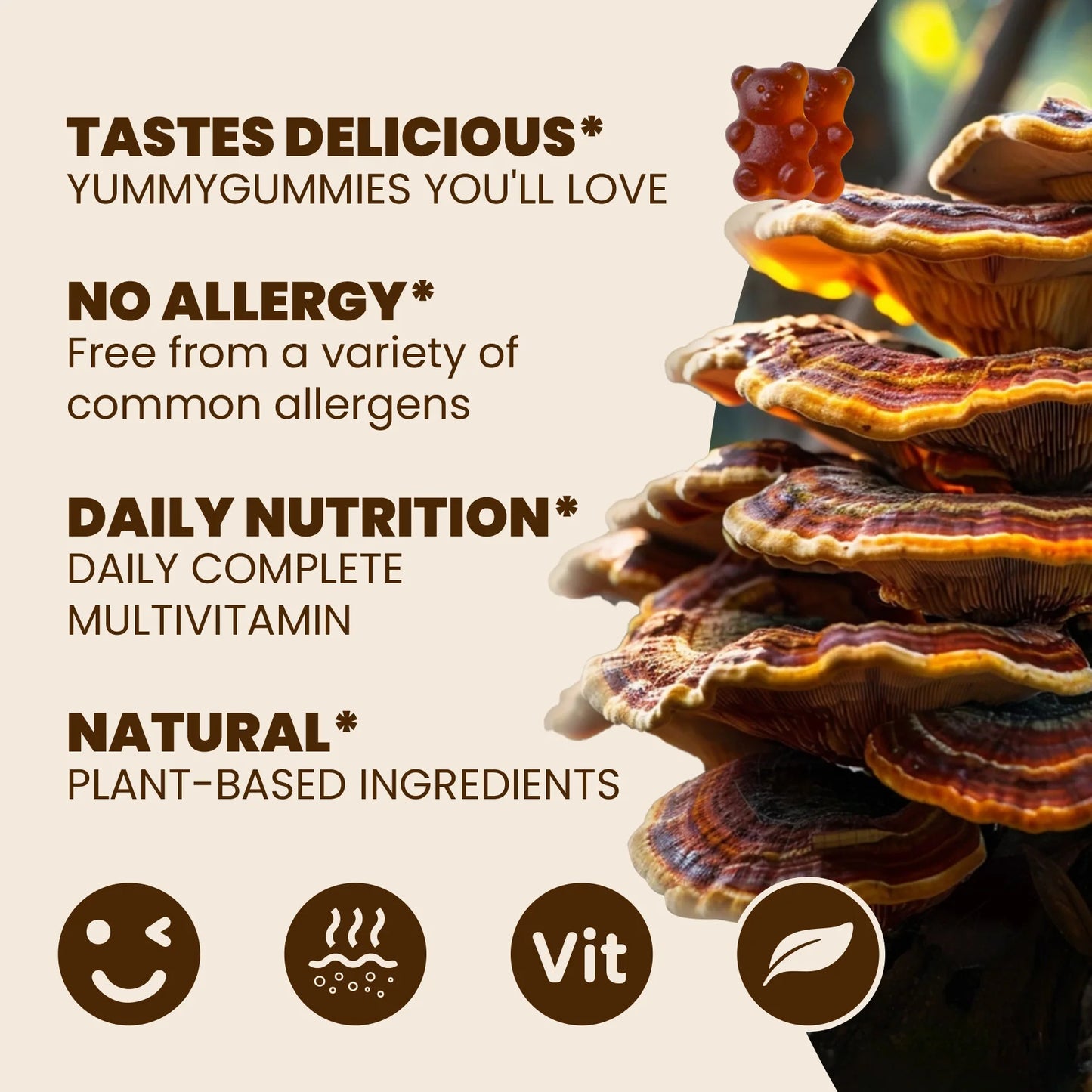 Mushroom Blend Dietary Gummies